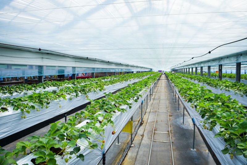 d80248c6d8d2e5cd2d964097eff18356_1679896782_6711.jpg d80248c6d8d2e5cd2d964097eff18356_1679896782_6711.jpg