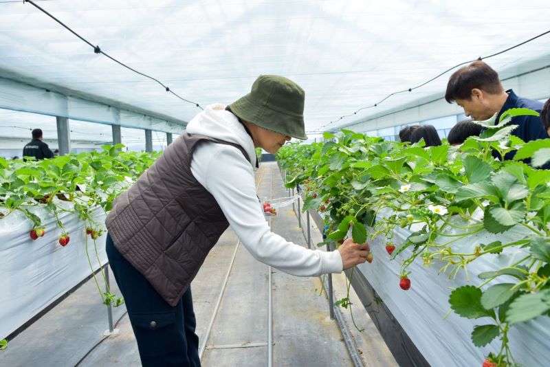 d80248c6d8d2e5cd2d964097eff18356_1679897689_5801.jpg d80248c6d8d2e5cd2d964097eff18356_1679897689_5801.jpg