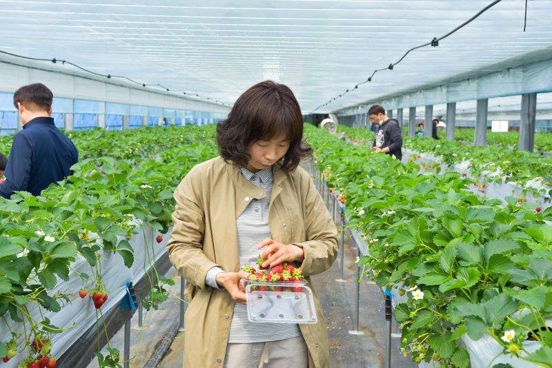 d80248c6d8d2e5cd2d964097eff18356_1679897690_4406.jpg d80248c6d8d2e5cd2d964097eff18356_1679897690_4406.jpg