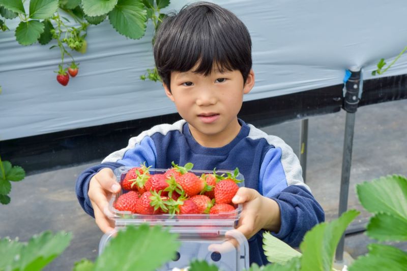 d80248c6d8d2e5cd2d964097eff18356_1679897821_025.jpg d80248c6d8d2e5cd2d964097eff18356_1679897821_025.jpg