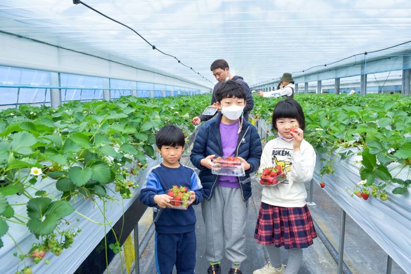 d80248c6d8d2e5cd2d964097eff18356_1679897821_3955.jpg d80248c6d8d2e5cd2d964097eff18356_1679897821_3955.jpg